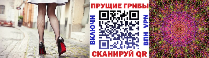 закладки  Малгобек  Псилоцибиновые грибы прущие грибы 