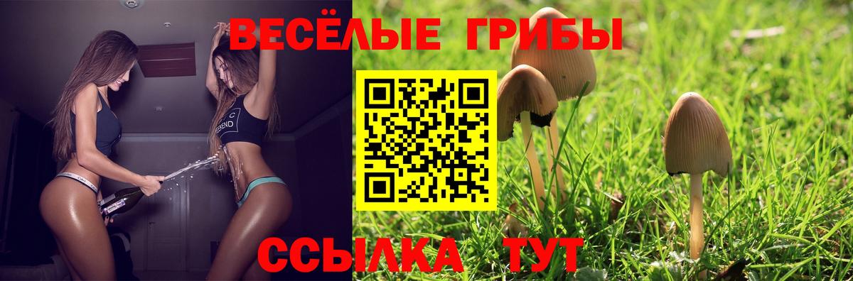 Псилоцибиновые грибы Psilocybine cubensis Малгобек